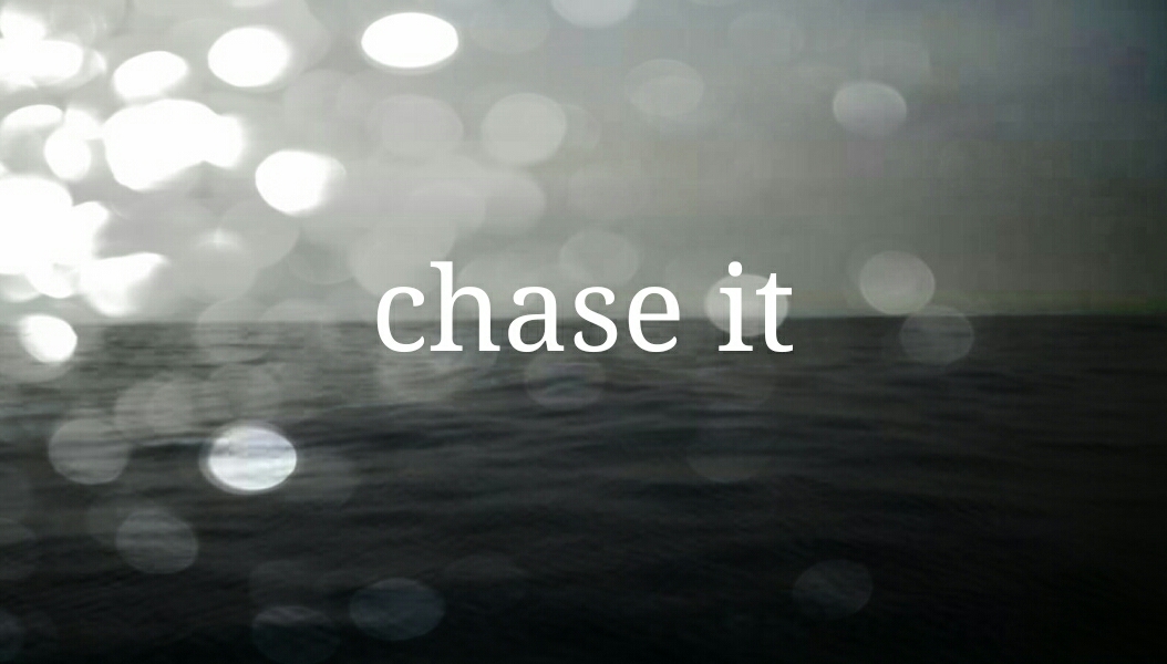 chase it