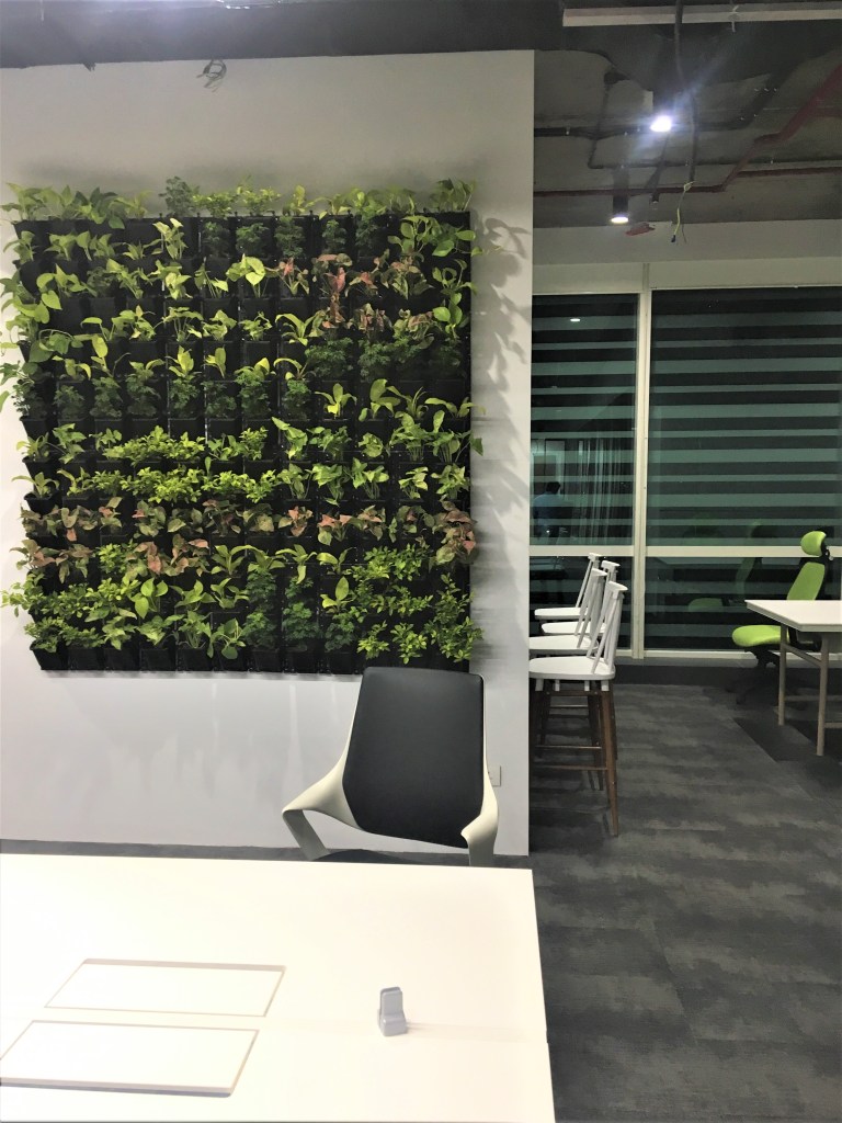 office interior design office interior interior designer commercial interior design commercial interiors shubhi singhal interior design Moet Hennessey India mumbai office